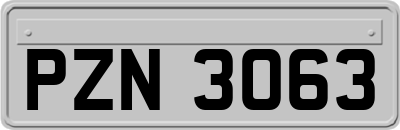 PZN3063