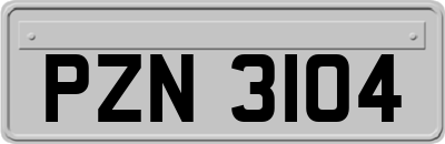 PZN3104