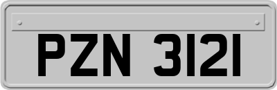 PZN3121