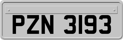 PZN3193