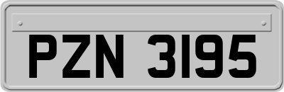 PZN3195