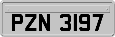 PZN3197