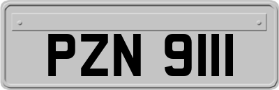 PZN9111