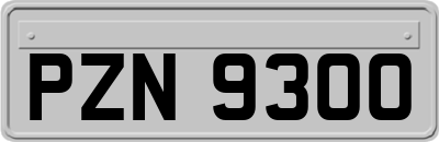 PZN9300