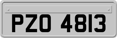 PZO4813