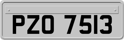 PZO7513