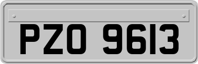 PZO9613