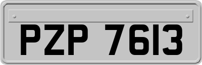 PZP7613
