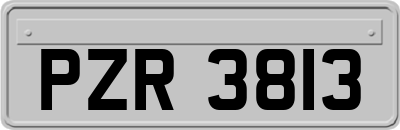 PZR3813