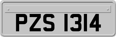 PZS1314