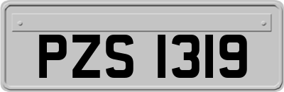 PZS1319