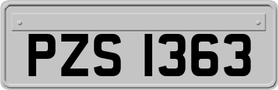 PZS1363