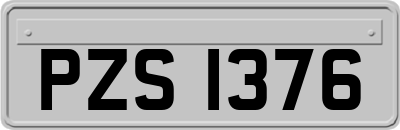 PZS1376