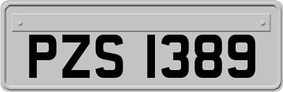 PZS1389