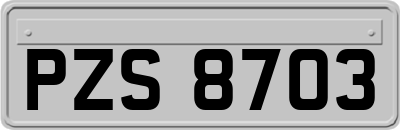 PZS8703