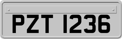 PZT1236