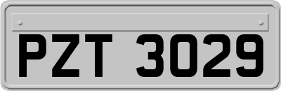 PZT3029