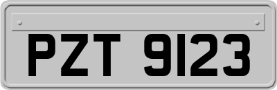 PZT9123