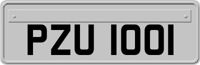 PZU1001