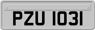 PZU1031