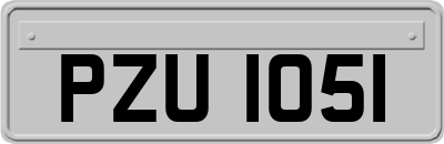 PZU1051