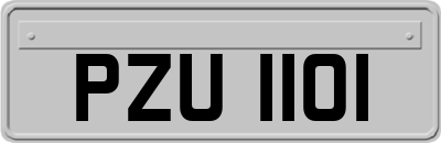PZU1101