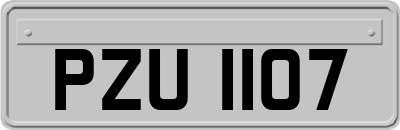 PZU1107
