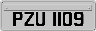 PZU1109
