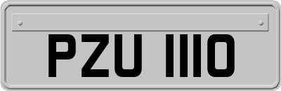 PZU1110