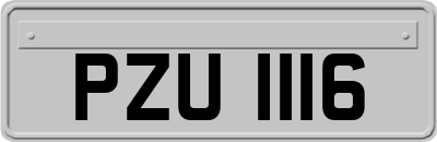 PZU1116
