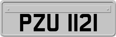 PZU1121