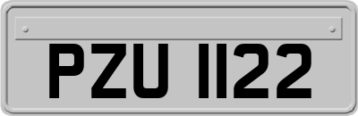 PZU1122