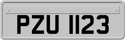 PZU1123