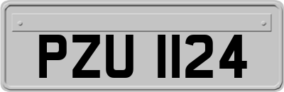 PZU1124