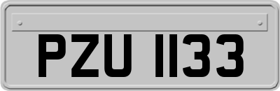 PZU1133