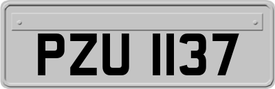 PZU1137