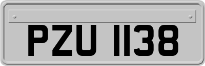 PZU1138