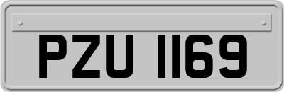 PZU1169
