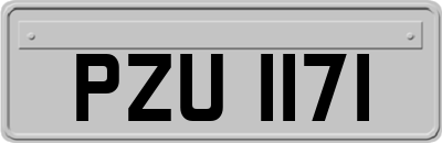 PZU1171