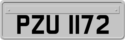 PZU1172