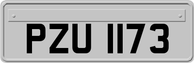 PZU1173