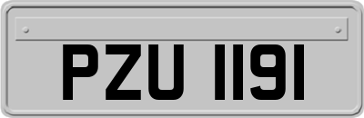PZU1191
