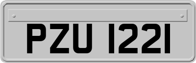PZU1221