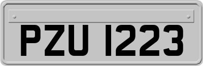 PZU1223