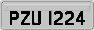 PZU1224