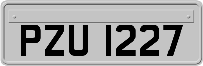 PZU1227
