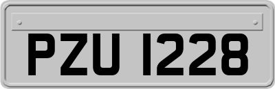 PZU1228