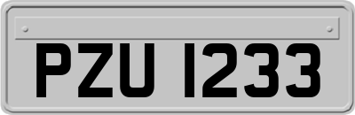 PZU1233