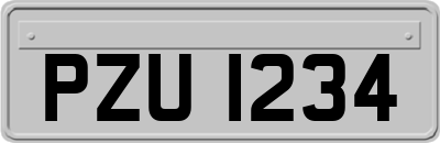 PZU1234