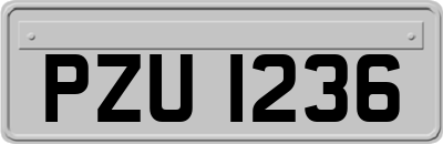 PZU1236